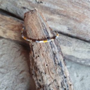 Bracelet simple rang – Type 3 – minis perles sur câble fin –  Naturel – Ocre, Bronze, Ecru, Gris, Marbré